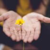 Gul blomma i hand